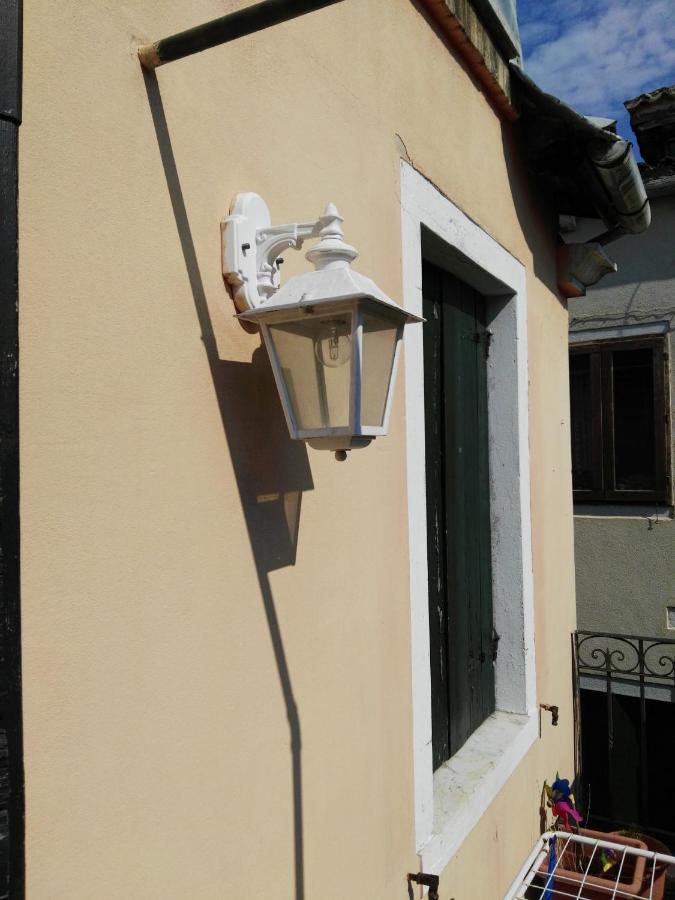 Butterfly * Venecia